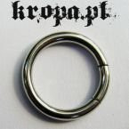 Kólko segmentowe - segment ring 04